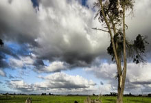 PG娱乐官网：乒坛13人被淘汰！仁川冠军赛遭遇一轮游，林高远3：1逆转获胜晋级.